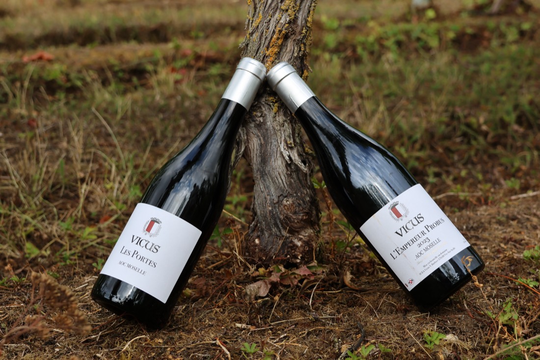 Les cuvées Les Portes et L'Empereur Probus du domaine VICUS, appuyées contre un vieux cep de vigne en AOC Moselle