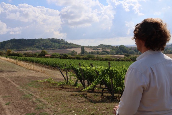 Homme de dos en chemise blanche regardant les rangs de vigne et les coteaux boisés du domaine VICUS, en AOC Moselle, sous un ciel d'été nuageux